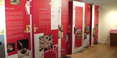 Animación y promoción del Medio, S.A. somos responsables de proyectos de educación y comunicación ambiental 